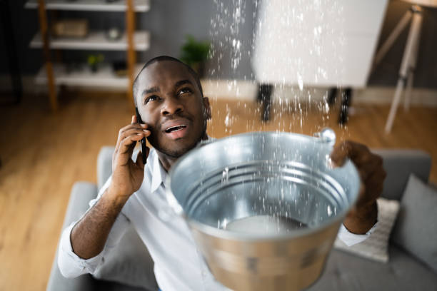 Best Water damage repair service  in Mount Ayr, IA