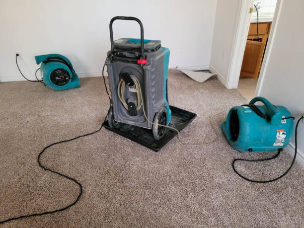 Best 24-hour water damage restoration  in Mount Ayr, IA