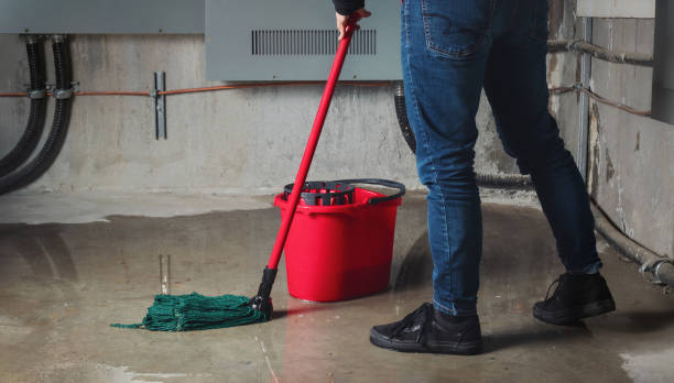 Best Emergency water damage restoration  in Mount Ayr, IA