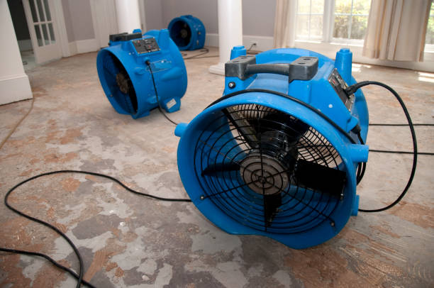 Best Ceiling water damage repair  in Mount Ayr, IA