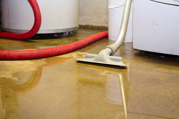 Best Emergency water damage restoration  in Mount Ayr, IA
