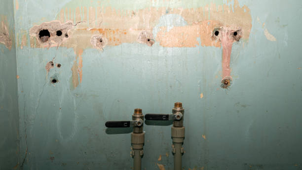 Mount Ayr, IA Water damage restoration Pros