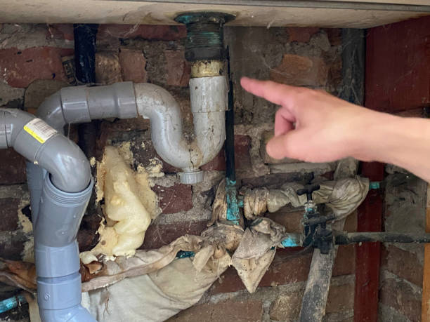 Best Water damage restoration near me  in Mount Ayr, IA